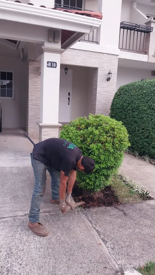 Jardinero VIVA manteniendo arbustos en una residencia