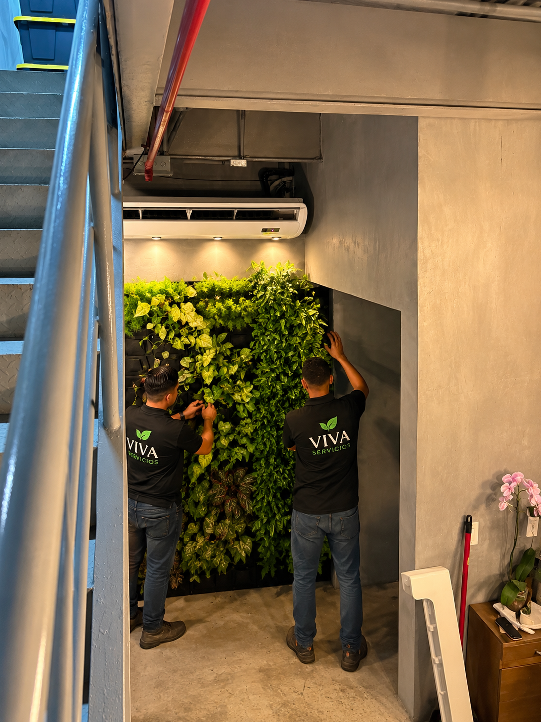 Atlantic Plaza — Instalación de muro vivo en cafetería.